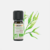 Óleo Essencial Árvore de Chá Melaleuca Alternifolia - 10ml - Florame