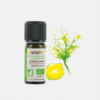 Óleo Essencial Bergamota Citrus Bergamia - 10ml - Florame