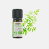 Óleo Essencial Cardamomo Elettaria cardamomum ORG - 5ml - Florame