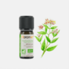 Óleo Essencial Cravinho Eugenia Caryophyllus - 10ml - Florame