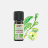 Óleo Essencial Eucalipto Citriodora Eucalyptus Citriodora - 10 ml - Florame