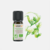 Óleo Essencial Eucalipto Eucalyptus Globulus - 10ml - Florame