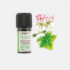 Óleo Essencial Geranio Bourbom Pelargonium Graveolens ORG - 5ml - Florame