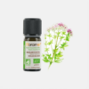 Óleo Essencial Manjerona Origanum majorana - 5ml - Florame