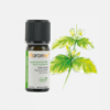 Óleo Essencial Patchouli Pogostemon cablin - 10ml - Florame