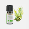 Óleo Essencial Pinho Silvestre Pinus sylvestris - 10ml - Florame