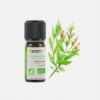 Óleo Essencial Salva Salvia Sclarea - 5ml - Florame