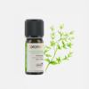 Tomilho Branco Thymus satureoides - 10ml - Florame