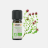 Óleo Essencial Tomilho Linalol Thymus linaloliferum - 5ml - Florame