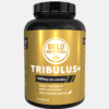 Tribulus+ - 60 comprimido - Gold Nutrition