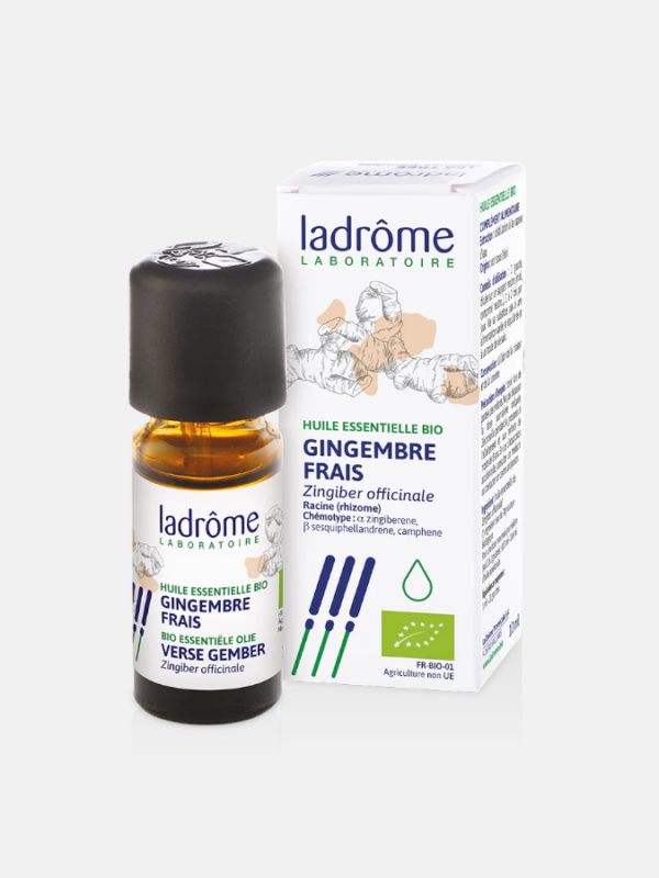 OE Gengibre Zingiber officinale Bio - 10ml - Ladrôme