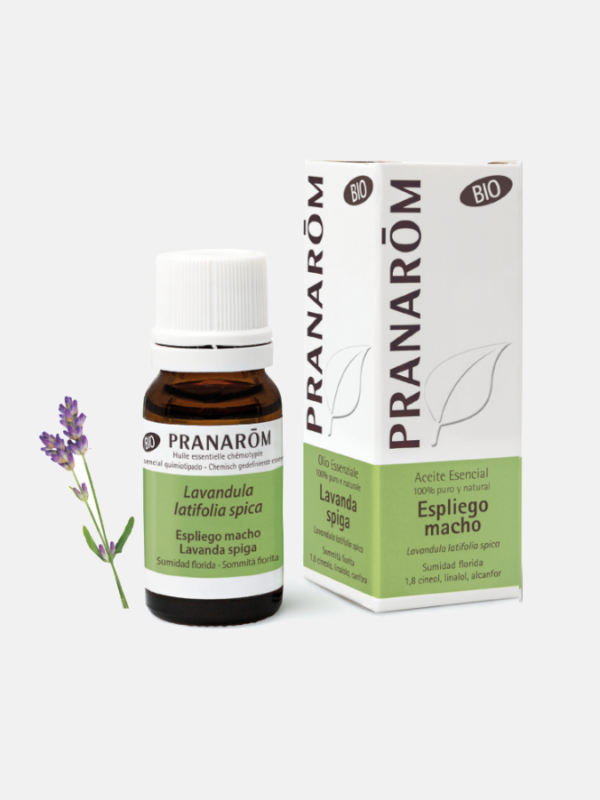 OE Lavanda Macho Lavandula latifolia spica BIO - 10ml - Pranarom