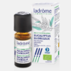 OE Eucalipto globulus Eucalyptus globulus Bio - 10ml - Ladrôme