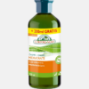 Champo Hidratante Aloe Vera - 300+200ml - Corpore Sano