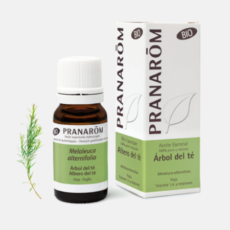 OE Árvore do Chá Melaleuca alternifolia BIO – 10ml – Pranarom