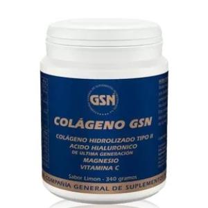 COLAGENO GSN con acido hialuronico naranja 340gr.
