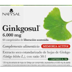 GINKGOSUL (trastornos circulatorios) 60comp.